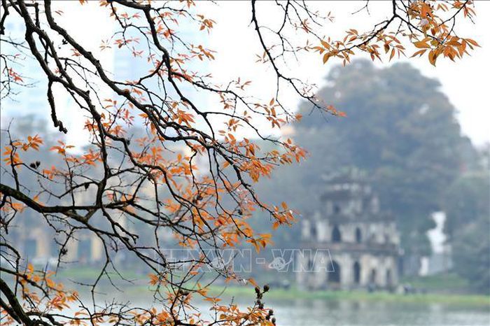 Du lịch Thừa Thiên Huế mang lại cho bạn những trải nghiệm tuyệt vời, từ sự lãng mạn của lâu đài đến vẻ đẹp tuyệt đẹp của cảnh quan thiên nhiên. Hãy khám phá và đắm mình trong những nét đặc trưng của nền văn hóa đa dạng, tuyệt vời của đất nước Việt Nam.